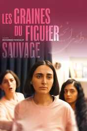 FR - Les Graines du figuier sauvage (2024)