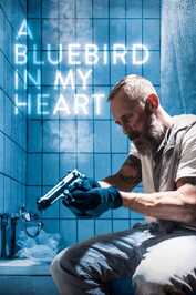 NL - A Bluebird in My Heart (2018)