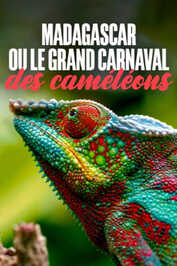 FR - Madagascar ou le grand carnaval des camÃ©lÃ©ons (2024)