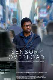 EN - Sensory Overload (2025)